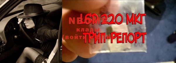 стаф Балахна