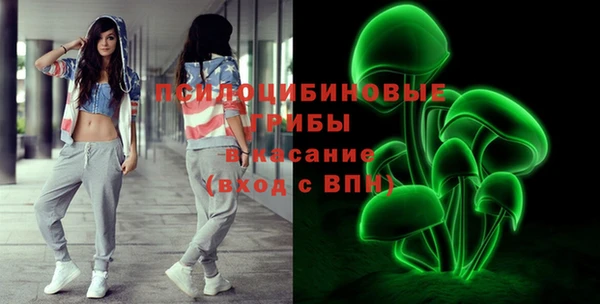 стаф Балахна